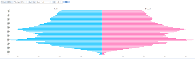 グラフ表示（人口ピラミッド）