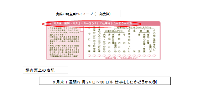 実際の調査票のイメージ画面例