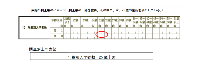 実際の調査票のイメージ画面例